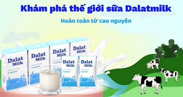 SỮA DALAT MILK QUÁN CAFE CÀ PHÊ COFFEE QUẬN 2 TPHCM