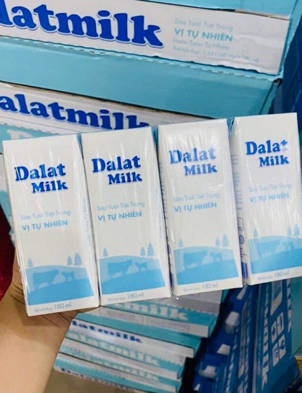 SỮA DALAT MILK QUÁN CAFE CÀ PHÊ COFFEE QUẬN 3 TPHCM