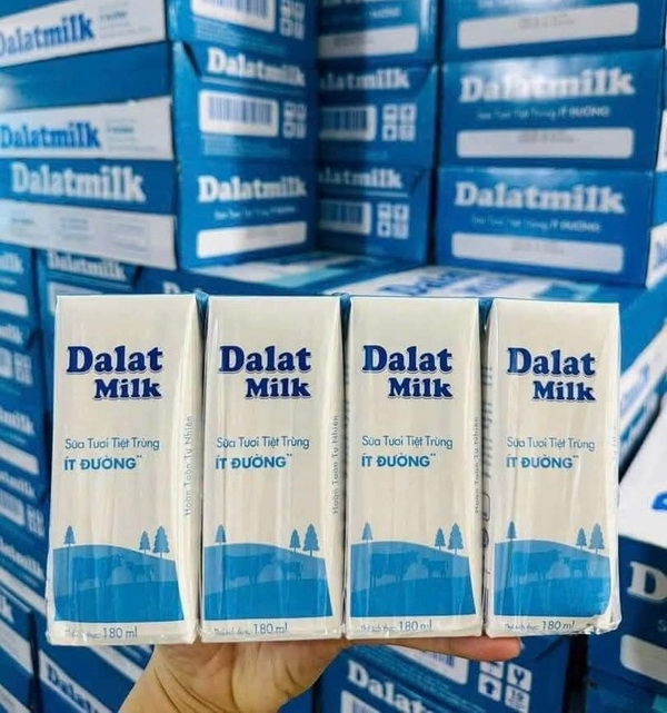 SỮA DALAT MILK QUÁN CAFE CÀ PHÊ COFFEE QUẬN 4 TPHCM