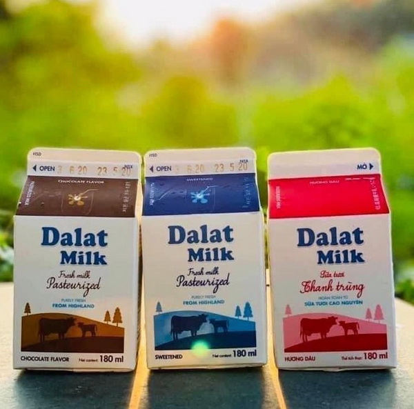 SỮA DALAT MILK QUÁN CAFE CÀ PHÊ COFFEE BÌNH THẠNH TPHCM