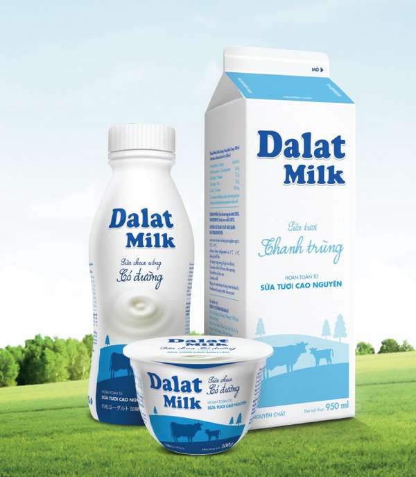 SỮA DALAT MILK QUÁN CAFE CÀ PHÊ COFFEE GÒ VẤP TPHCM